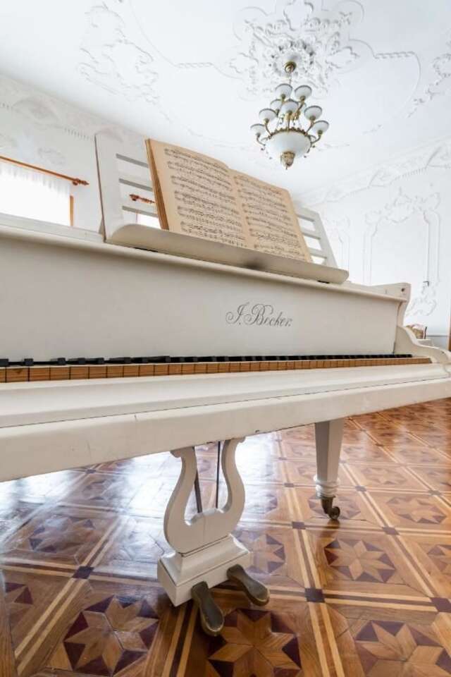 Отель The Grand Piano Villa Кутаиси-3